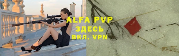 стаф Абаза
