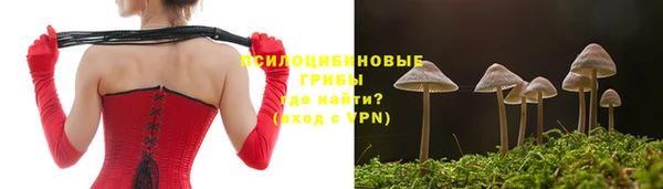 стаф Абаза