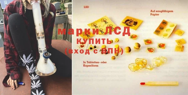 стаф Абаза