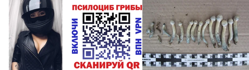 Псилоцибиновые грибы мухоморы Адыгейск